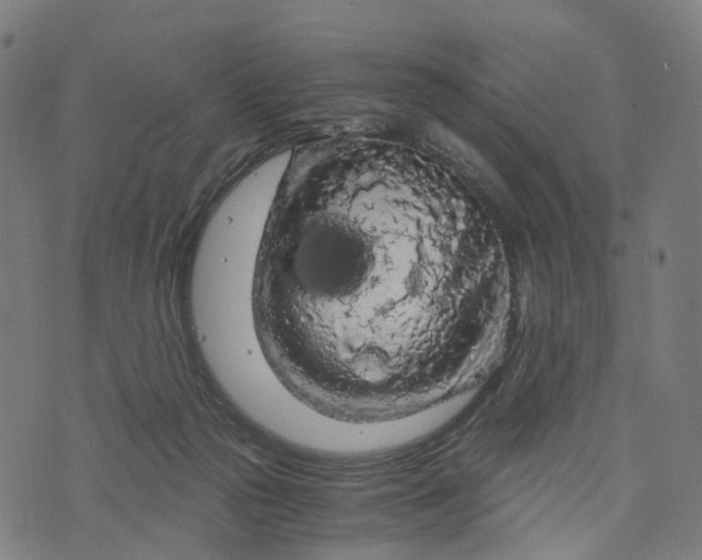 X0000073750169200608171340