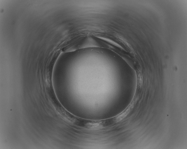 X0000073750170200608171340