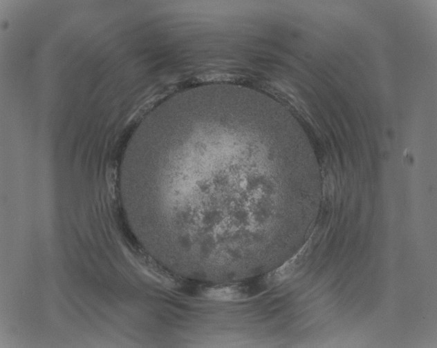 X0000073750171200608171340