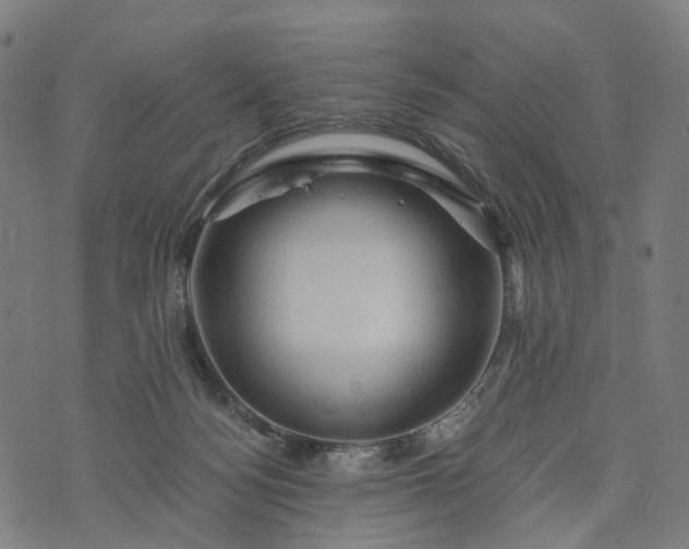 X0000073750172200608171340