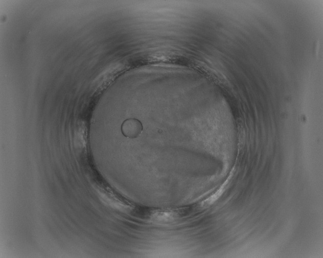 X0000073750174200608171340