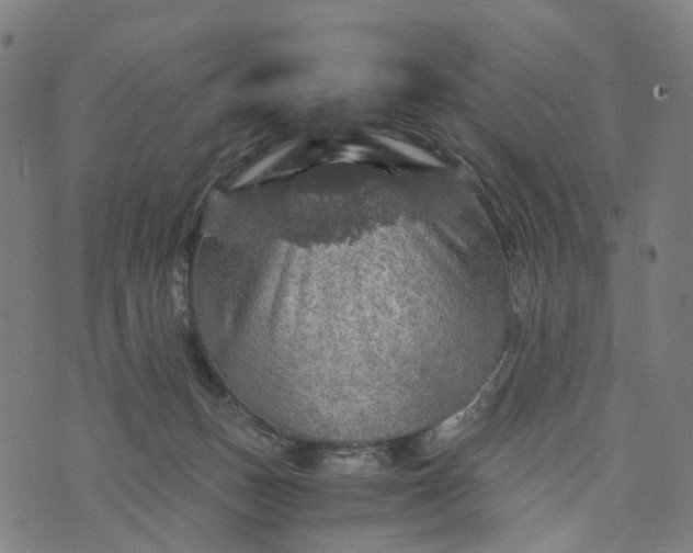 X0000073750175200608171340