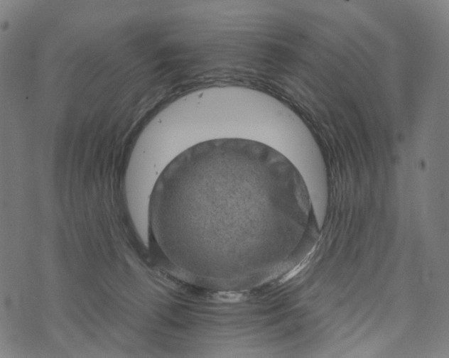 X0000073750176200608171340