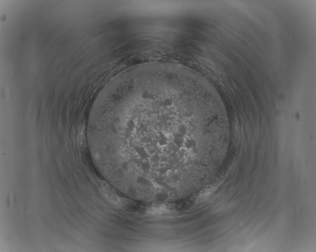 X0000073750177200608171340