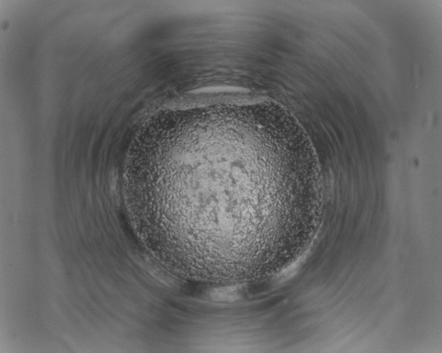 X0000073750178200608171340