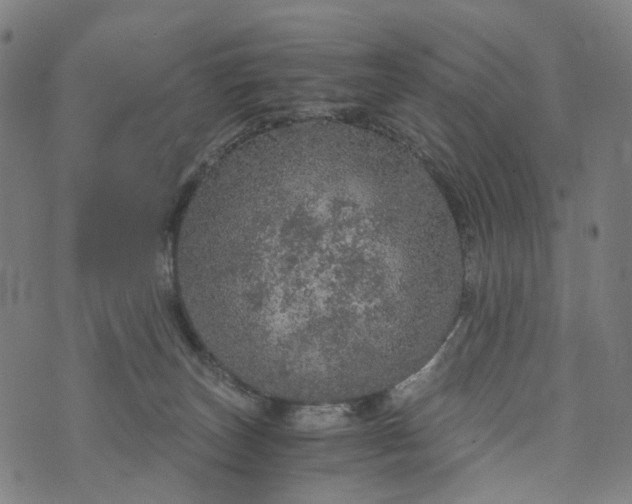 X0000073750179200608171340