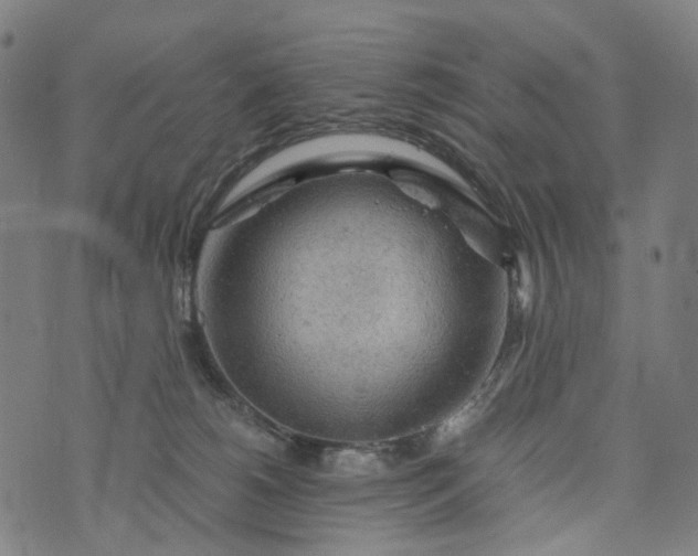 X0000073750180200608171340