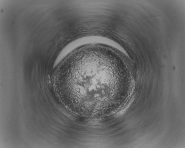 X0000073750182200608171340