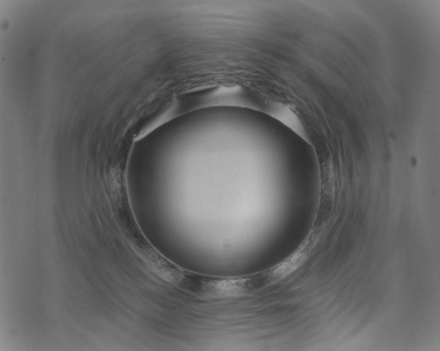 X0000073750184200608171340