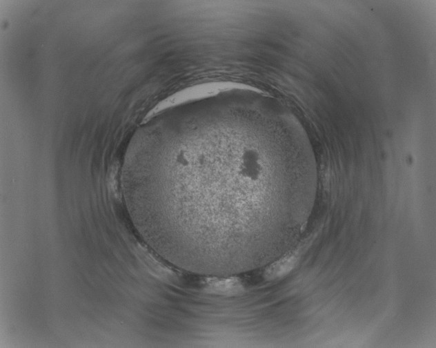 X0000073750185200608171340