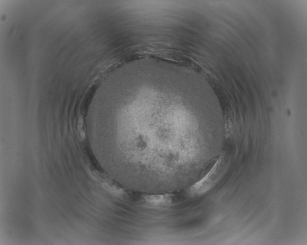 X0000073750187200608171340