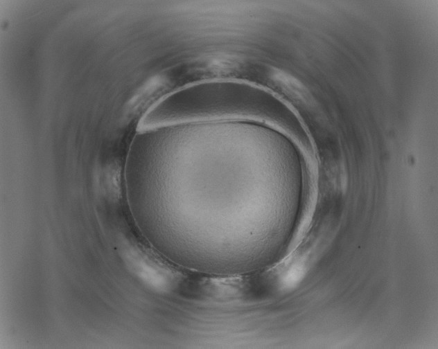 X0000073750188200608171340