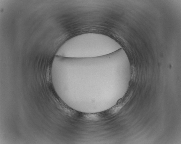 X0000073750189200608171340