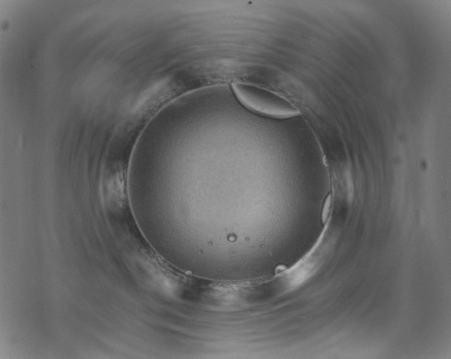 X0000073750190200608171340