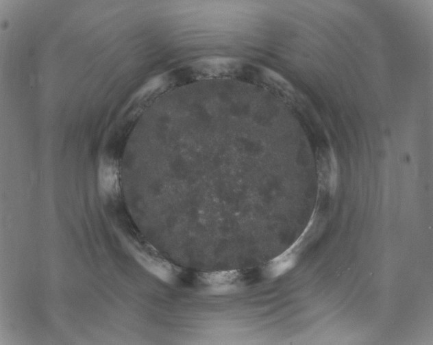 X0000073750191200608171340