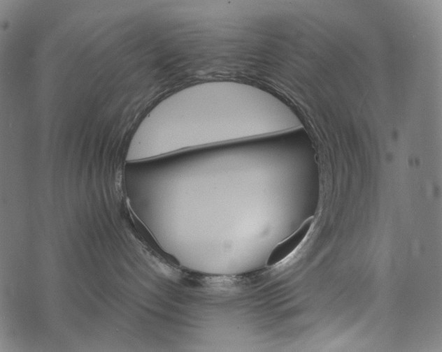 X0000073750192200608171340