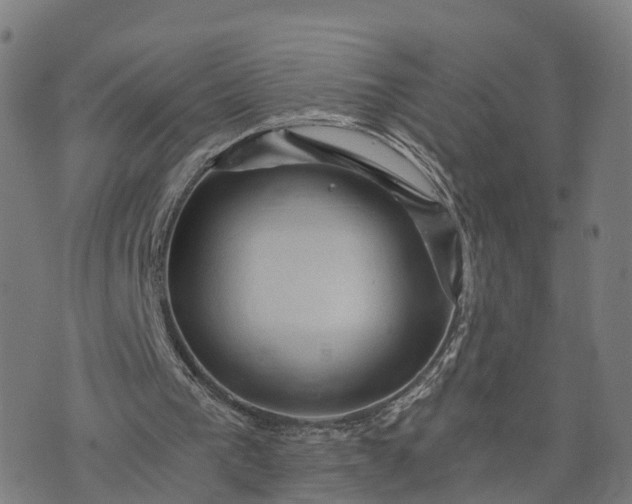 X0000073750193200608171340