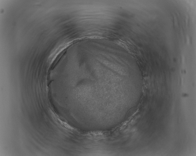 X0000073750194200608171340