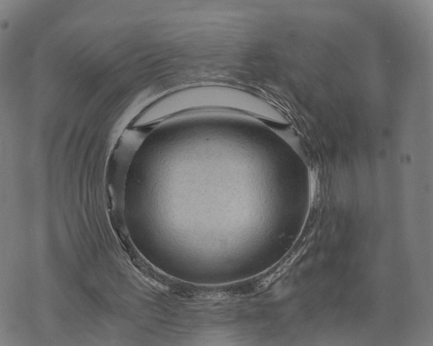 X0000073750195200608171340