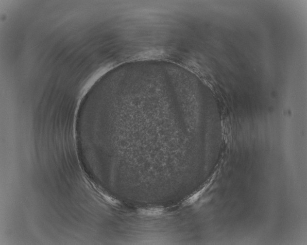 X0000073750196200608171340