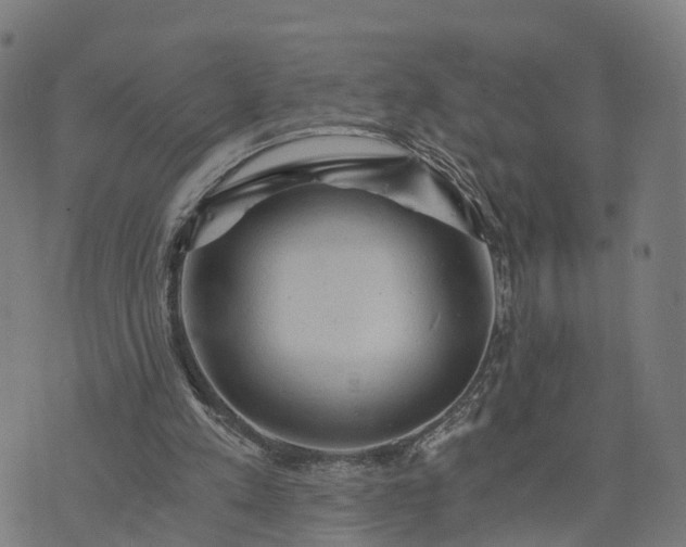 X0000073750197200608171340