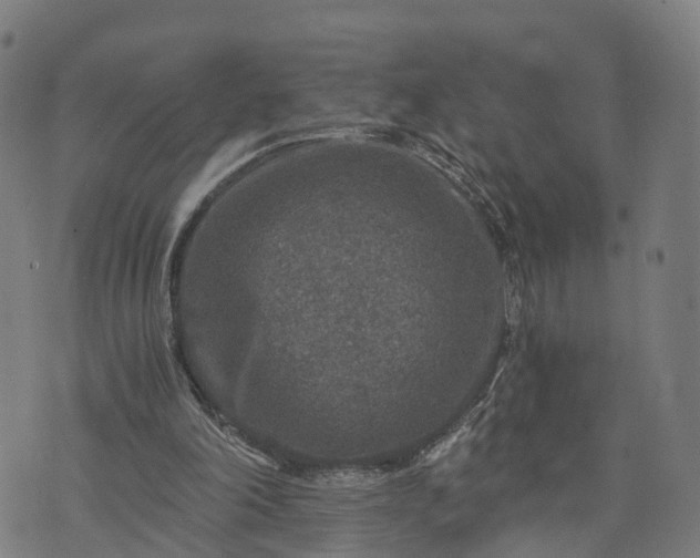 X0000073750198200608171340