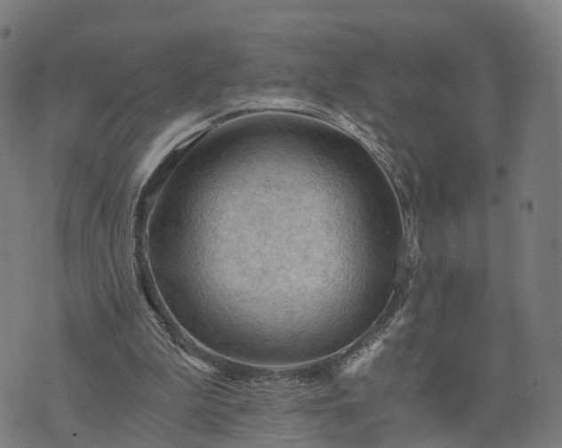 X0000073750199200608171340