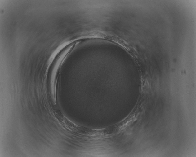 X0000073750200200608171340