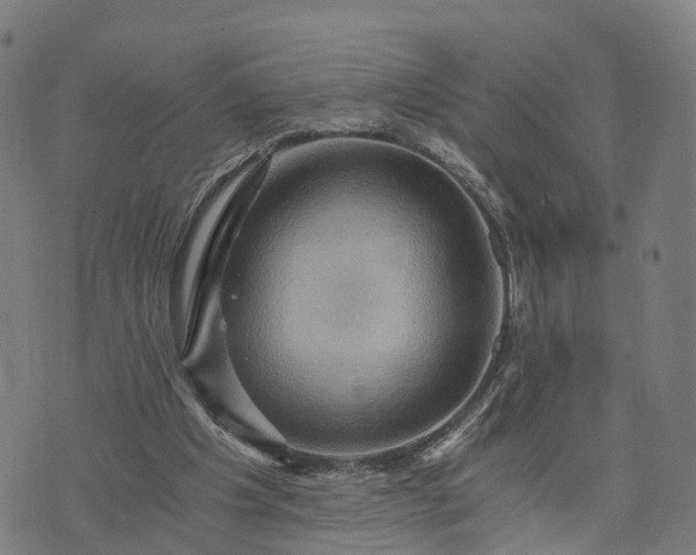 X0000073750201200608171340