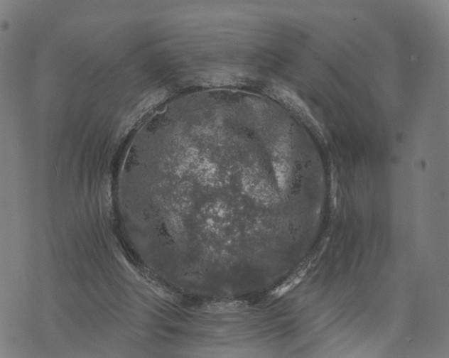 X0000073750202200608171340