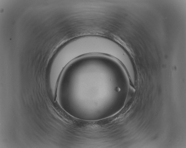 X0000073750203200608171339