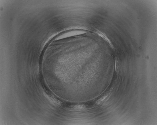 X0000073750204200608171339