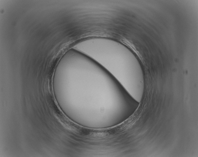 X0000073750205200608171339