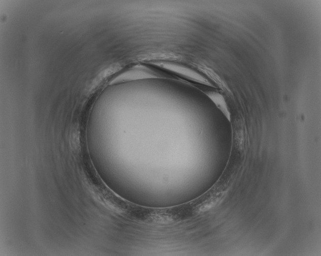 X0000073750207200608171339