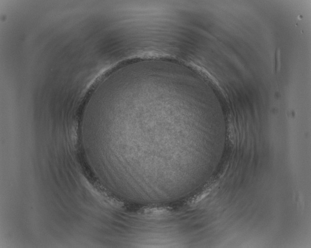 X0000073750208200608171339