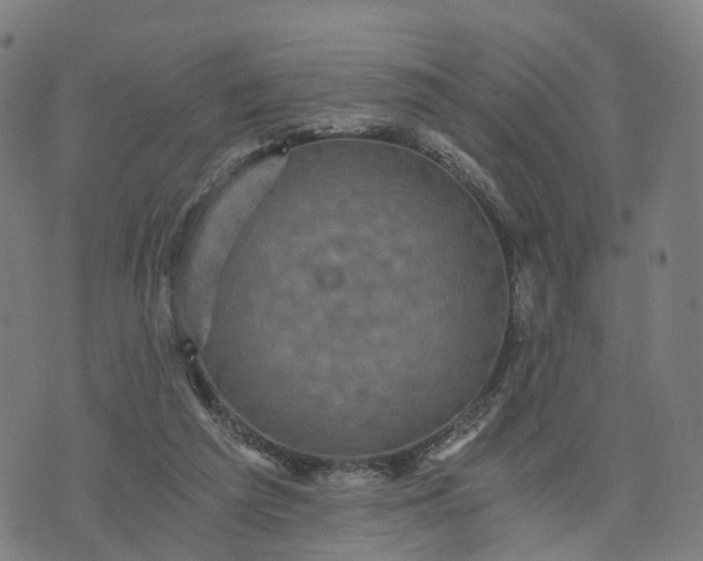 X0000073750209200608171339