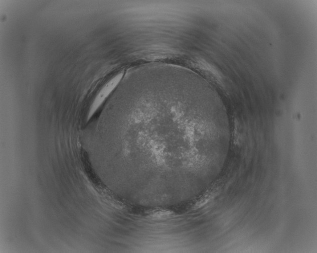 X0000073750210200608171339