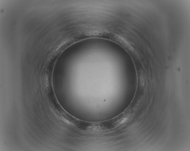 X0000073750211200608171339