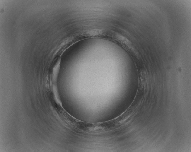 X0000073750212200608171339