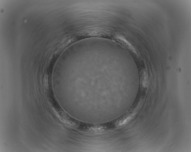 X0000073750213200608171339