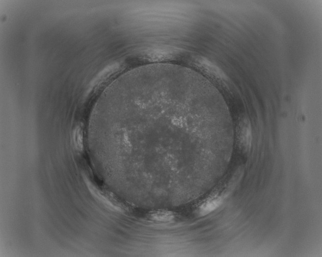 X0000073750214200608171339