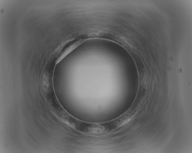 X0000073750215200608171339