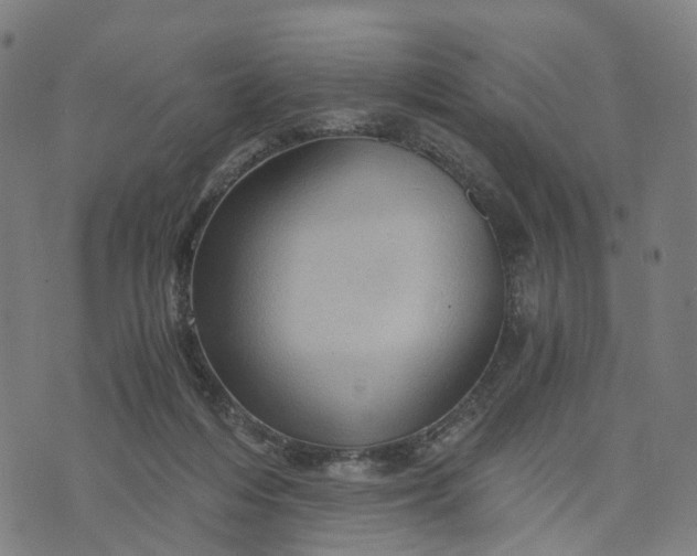 X0000073750216200608171339