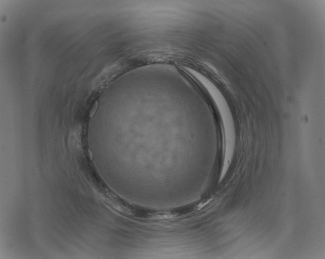 X0000073750217200608171339