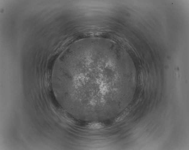 X0000073750218200608171339