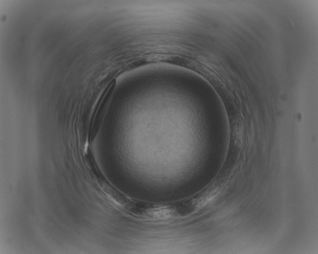 X0000073750219200608171339