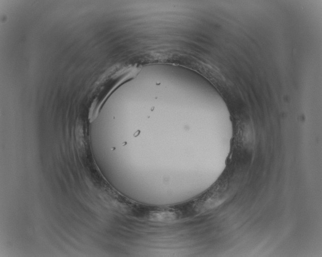 X0000073750220200608171339