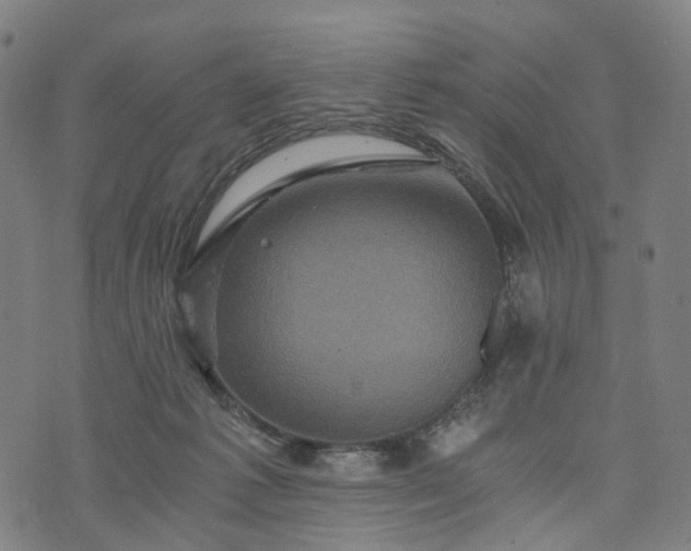 X0000073750221200608171339