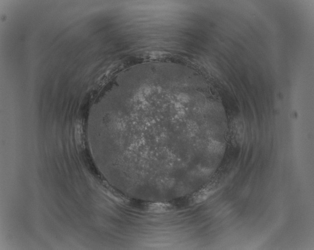 X0000073750222200608171339