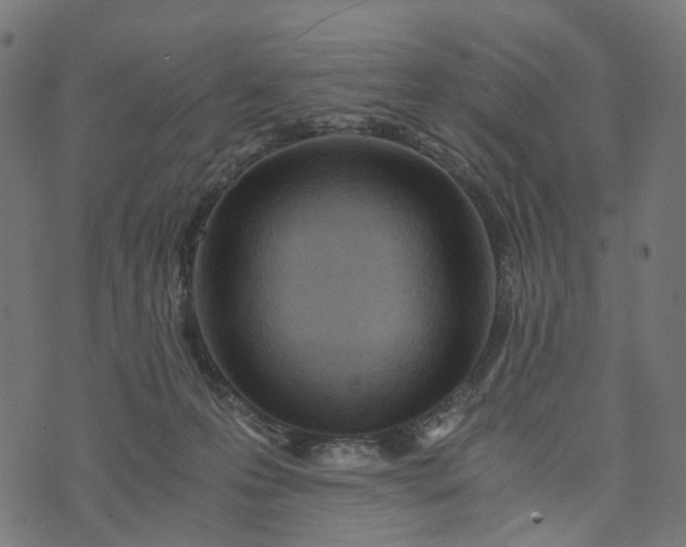 X0000073750223200608171339